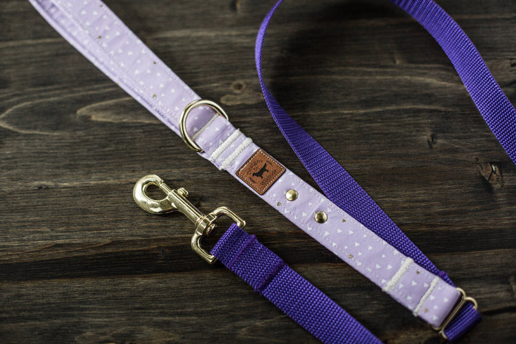 Dog Collar | Dog Leash | Collar Leash Set | Collar and Leash Set | Floral Dog Collar | Vintage Flower Dog Collar | Navy Dog Collar