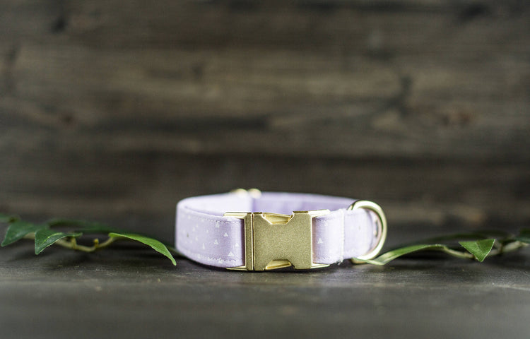 Dog Collar | Girl Dog Collar | Female Dog Collar  | Purple Dog Collar | Girly Dog Collar | Gold Dog Collar | Cat Collar | Puppy Collar