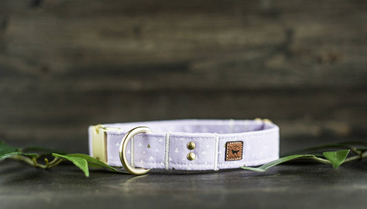 Dog Collar | Girl Dog Collar | Female Dog Collar  | Purple Dog Collar | Girly Dog Collar | Gold Dog Collar | Cat Collar | Puppy Collar