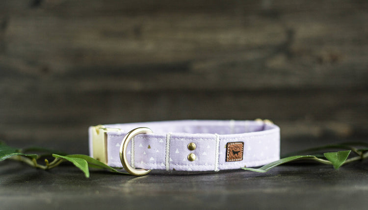 Dog Collar | Girl Dog Collar | Female Dog Collar  | Purple Dog Collar | Girly Dog Collar | Gold Dog Collar | Cat Collar | Puppy Collar