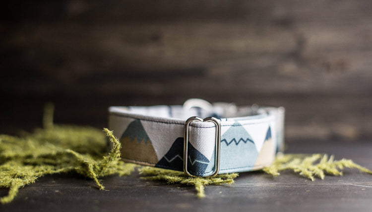Dog Collar | Boy Dog Collar | Blue Dog Collar | Puppy Collar | Mountain Dog Collar | Adventure Collar |Male Dog Collar |Woodland Dog Collar