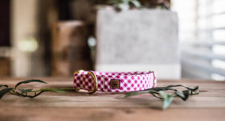 Dog Collar, Valentine's Day Collar, Pink Collar, Girl Collar, Cat Collar, Girly Collar, Gingham Collar, Pink Plaid Collar, Pink Plaid Collar