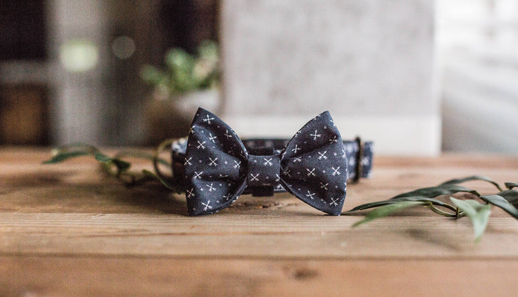 Dog Collar, Boy Dog Collar, Blue Dog Collar, Puppy Collar, Collar and Bowtie, Bowtie Collar, Collar with Bow Tie, Arrow Collar, Blue Collar