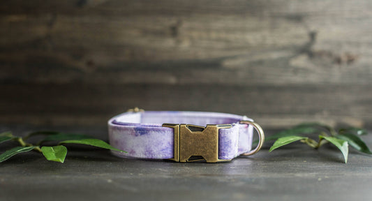 Trendy Dog Collar | Floral Dog Collar | Flower Dog Collar | Girly Dog Collar | Girl Dog Collar | Female Dog Collar | Purple Collar