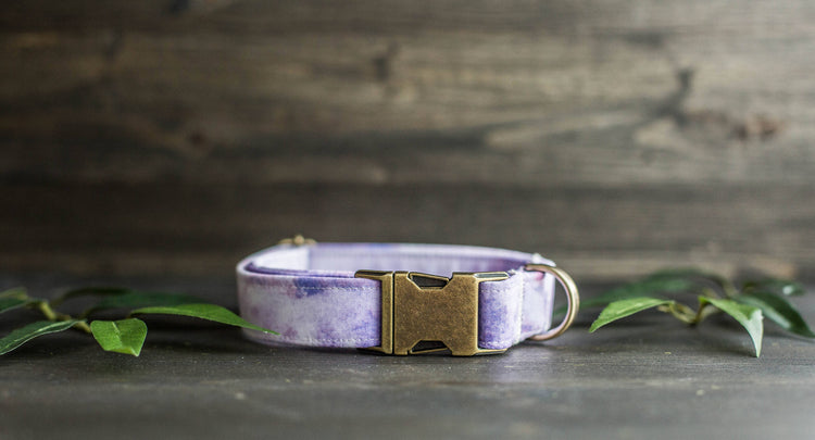 Trendy Dog Collar | Floral Dog Collar | Flower Dog Collar | Girly Dog Collar | Girl Dog Collar | Female Dog Collar | Purple Collar