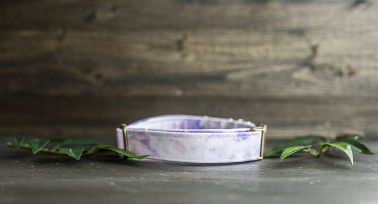 Trendy Dog Collar | Floral Dog Collar | Flower Dog Collar | Girly Dog Collar | Girl Dog Collar | Female Dog Collar | Purple Collar