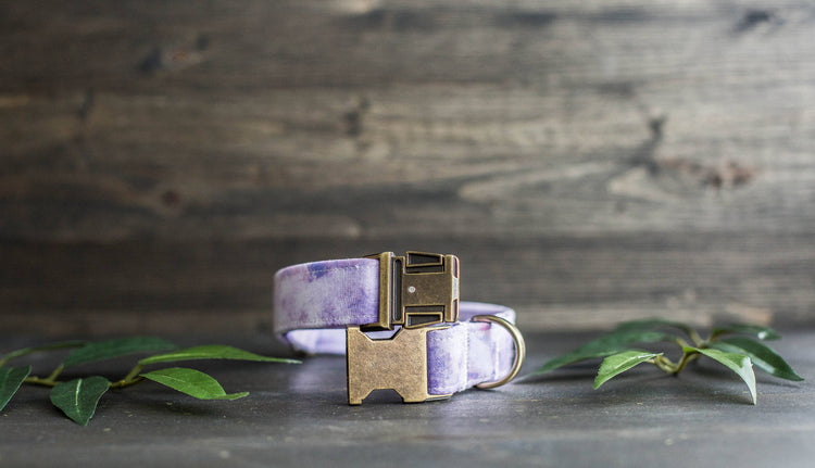 Trendy Dog Collar | Floral Dog Collar | Flower Dog Collar | Girly Dog Collar | Girl Dog Collar | Female Dog Collar | Purple Collar