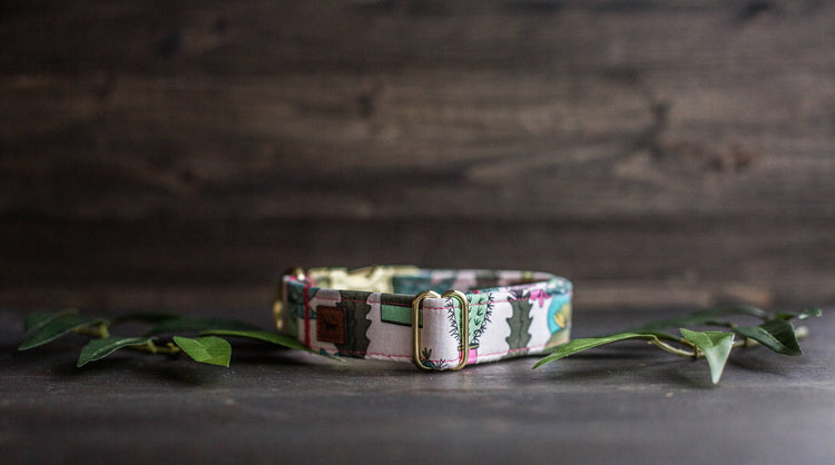 Trendy Dog Collar | Floral Dog Collar | Cactus Dog Collar | Girly Dog Collar | Succulent Dog Collar | Girl Dog Collar | Female Dog Collar