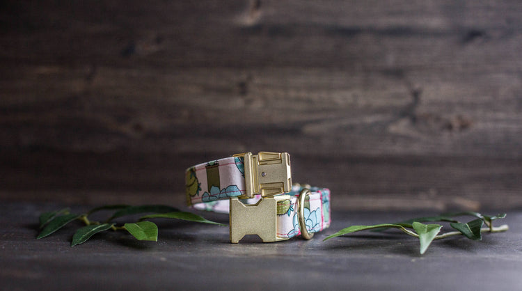 Trendy Dog Collar | Floral Dog Collar | Cactus Dog Collar | Girly Dog Collar | Succulent Dog Collar | Girl Dog Collar | Female Dog Collar