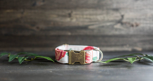 Trendy Dog Collar | Floral Dog Collar | Flower Dog Collar | Girly Dog Collar | Cat Collar | Girl Dog Collar | Female Dog Collar