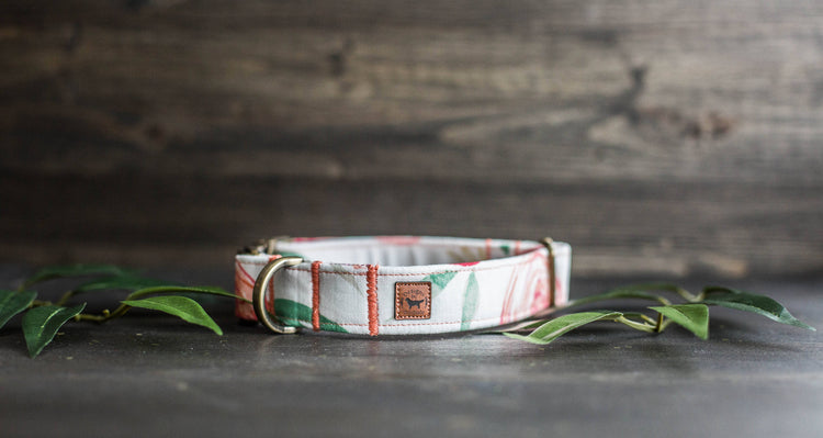 Trendy Dog Collar | Floral Dog Collar | Flower Dog Collar | Girly Dog Collar | Cat Collar | Girl Dog Collar | Female Dog Collar