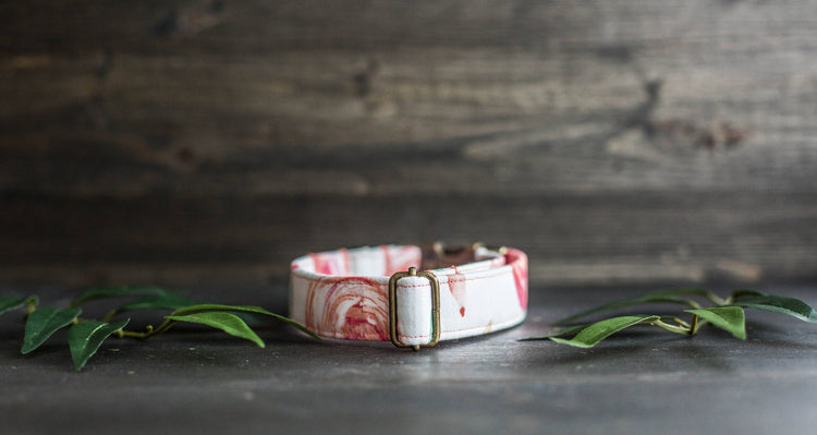 Trendy Dog Collar | Floral Dog Collar | Flower Dog Collar | Girly Dog Collar | Cat Collar | Girl Dog Collar | Female Dog Collar