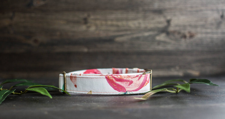 Trendy Dog Collar | Floral Dog Collar | Flower Dog Collar | Girly Dog Collar | Cat Collar | Girl Dog Collar | Female Dog Collar