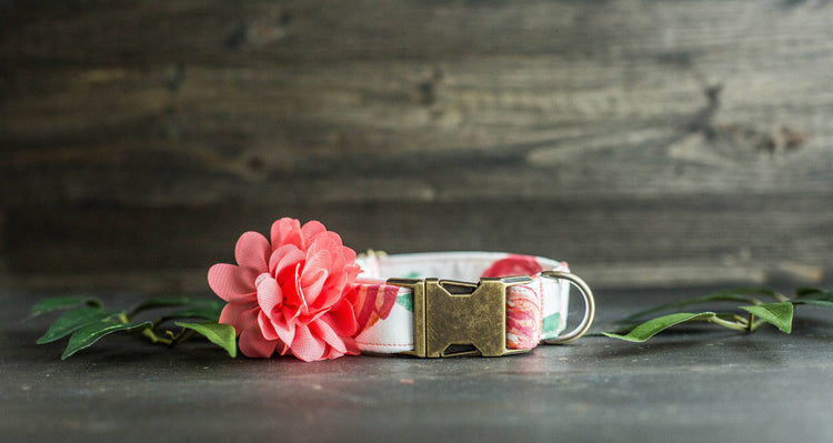 Trendy Dog Collar | Floral Dog Collar | Flower Dog Collar | Girly Dog Collar | Cat Collar | Girl Dog Collar | Female Dog Collar