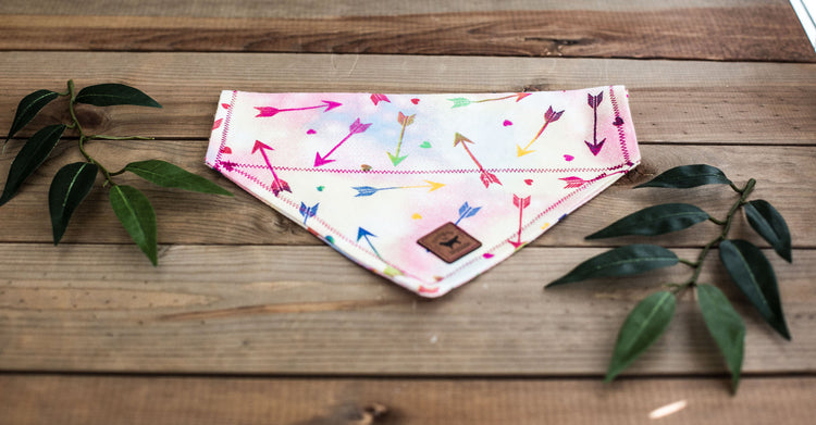 Valentine's Dog Bandana, Dog Bandana, Over The Collar Bandana, Hearts Bandana, Arrows Bandana, Valentine, Bandana