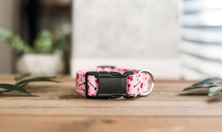 Dog Collar, Valentine's Day Collar, Pink Collar, Girl Collar, Cat Collar, Girly Collar, Hearts Collar, Pink Collar