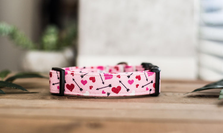 Dog Collar, Valentine's Day Collar, Pink Collar, Girl Collar, Cat Collar, Girly Collar, Hearts Collar, Pink Collar
