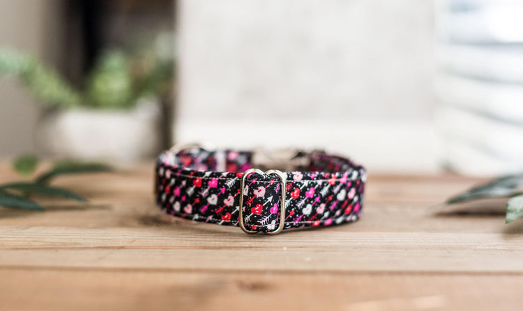 Valentine Dog Collar | Heart Dog Collar | Boy Dog Collar | Girl Dog Collar | Pink Dog Collar | Black Dog Collar | Red Dog Collar