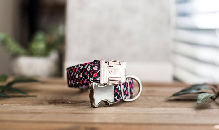 Valentine Dog Collar | Heart Dog Collar | Boy Dog Collar | Girl Dog Collar | Pink Dog Collar | Black Dog Collar | Red Dog Collar