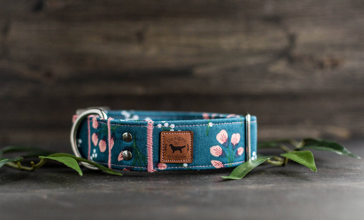 Trendy Dog Collar Floral Dog Collar Flower Dog Collar Girly Dog Collar Cat Collar Girl Dog Collar  Female Dog Collar Teal Dog Collar