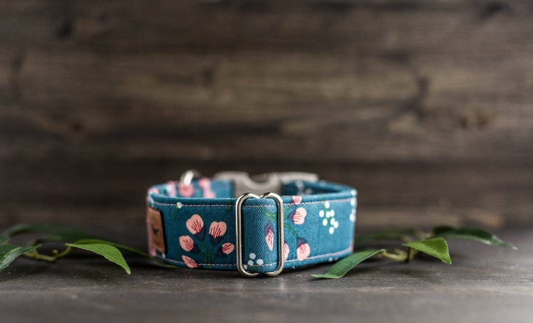 Trendy Dog Collar Floral Dog Collar Flower Dog Collar Girly Dog Collar Cat Collar Girl Dog Collar  Female Dog Collar Teal Dog Collar