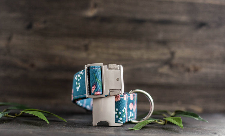 Trendy Dog Collar Floral Dog Collar Flower Dog Collar Girly Dog Collar Cat Collar Girl Dog Collar  Female Dog Collar Teal Dog Collar