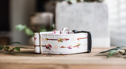 Dog Collar | Boho Dog Collar | Tribal Dog Collar | Puppy Dog Collar | Cat Collar |Girl Dog Collar | Aztec Collar