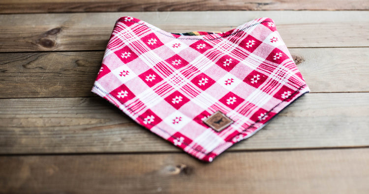 Dog Bandana Dog Collar Over The Collar Bandana Snap On Bandana Boy Dog Bandana Tribal Bandana Aztec Dog Bandana Pet Accessories Pet Bandana