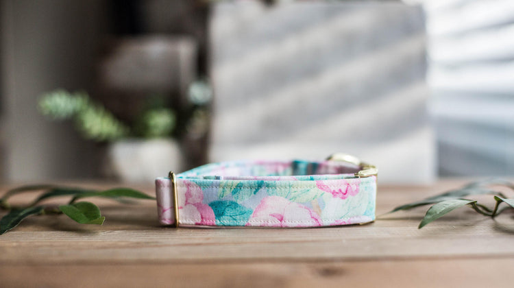 Dog Collar | Floral Dog Collar | Flower Dog Collar | Puppy Dog Collar | Cat Collar |Girl Dog Collar | Girly Dog Collar