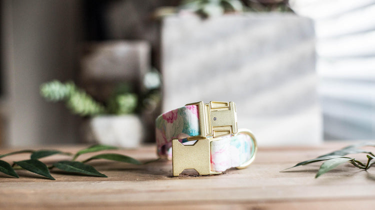 Dog Collar | Floral Dog Collar | Flower Dog Collar | Puppy Dog Collar | Cat Collar |Girl Dog Collar | Girly Dog Collar