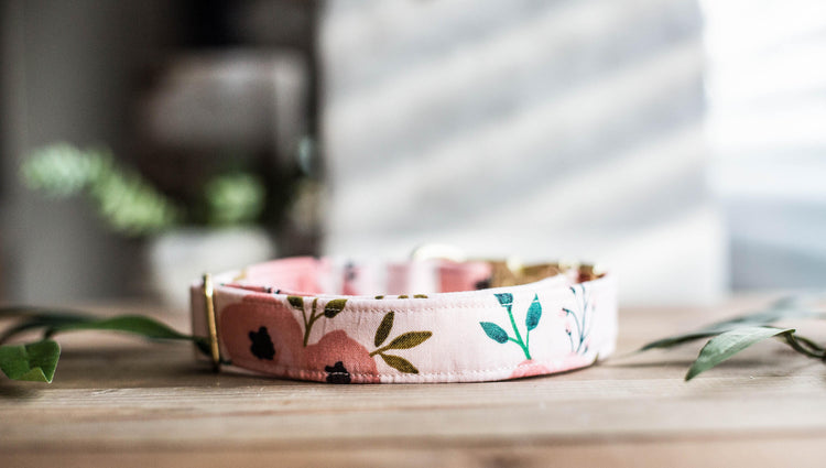 Dog Collar | Floral Dog Collar | Flower Dog Collar | Puppy Dog Collar | Cat Collar |Girl Dog Collar | Girly Dog Collar