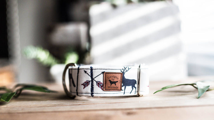 Dog Collar | Boy Dog Collar | Adventure Dog Collar | Woodland Dog Collar | Bear Dog Collar | Deer Dog Collar | Wolf Collar