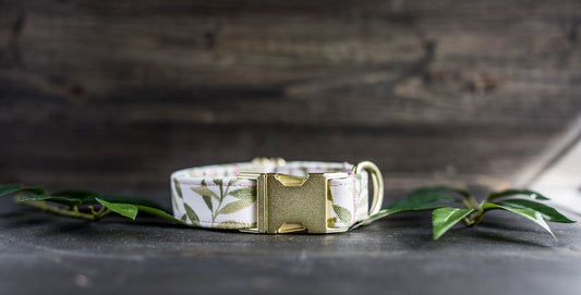 Girl Dog Collar Spring Collar Floral Dog Collar Trendy Dog Collar Girl Dog Collar Flower Dog Collar Girly Dog Collar Cat Collar Puppy Collar