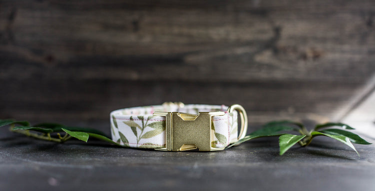 Girl Dog Collar Spring Collar Floral Dog Collar Trendy Dog Collar Girl Dog Collar Flower Dog Collar Girly Dog Collar Cat Collar Puppy Collar
