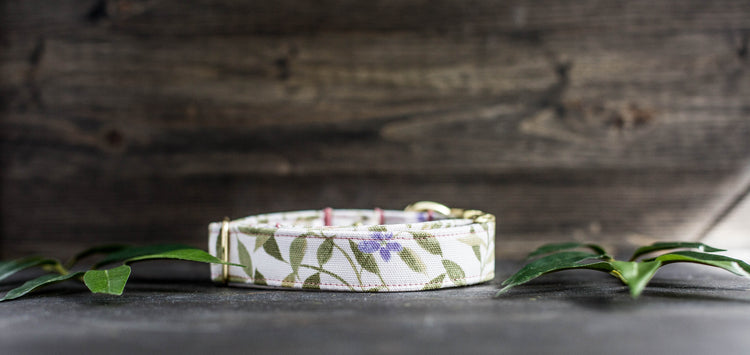 Girl Dog Collar Spring Collar Floral Dog Collar Trendy Dog Collar Girl Dog Collar Flower Dog Collar Girly Dog Collar Cat Collar Puppy Collar