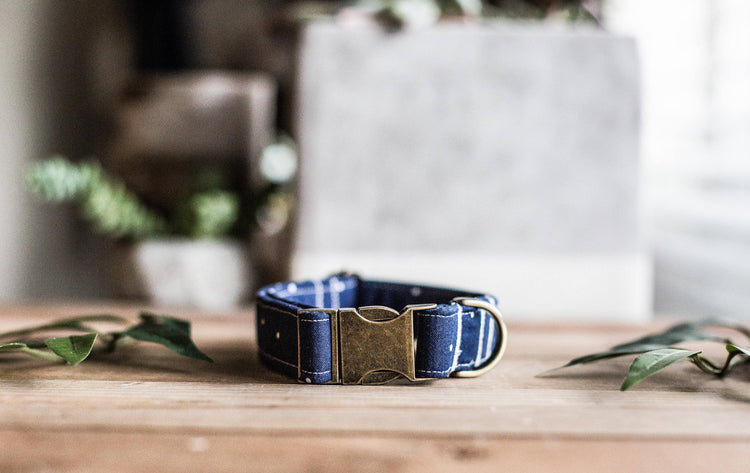 Boy Dog Collar | Dog Collar | Blue Dog Collar | Navy Blue Dog Collar | Puppy Collar | Polka Dot Dog Collar | Brass Buckle | Pet Collar