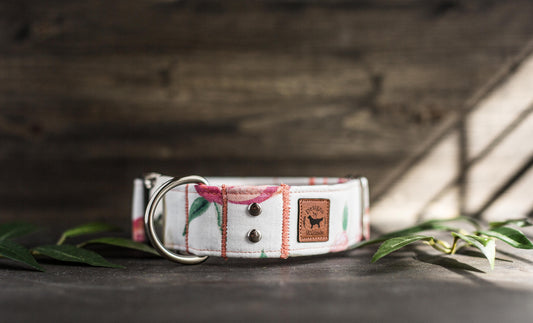 Dog Collar | Floral Dog Collar | Flower Dog Collar | BoHo Dog Collar | Puppy Dog Collar | Cat Collar |Girl Dog Collar | Girly Dog Collar