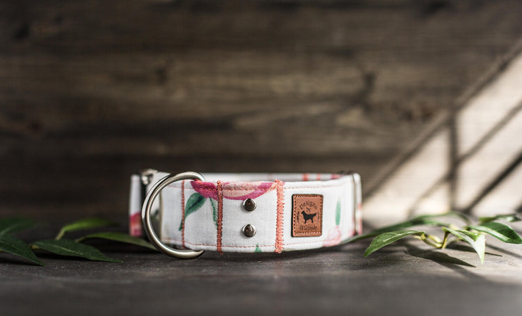 Dog Collar | Floral Dog Collar | Flower Dog Collar | BoHo Dog Collar | Puppy Dog Collar | Cat Collar |Girl Dog Collar | Girly Dog Collar