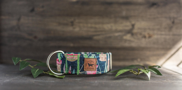 Dog Collar | Succulent Dog Collar | Cactus Dog Collar | Boho Dog Collar | Plants Dog Collar | Cat Collar | Girl Dog Collar | Boy Dog Collar