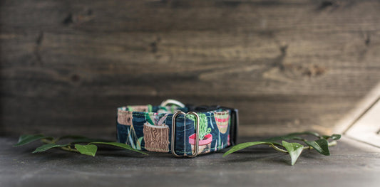 Dog Collar | Succulent Dog Collar | Cactus Dog Collar | Boho Dog Collar | Plants Dog Collar | Cat Collar | Girl Dog Collar | Boy Dog Collar