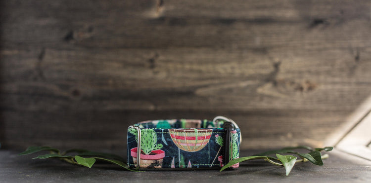 Dog Collar | Succulent Dog Collar | Cactus Dog Collar | Boho Dog Collar | Plants Dog Collar | Cat Collar | Girl Dog Collar | Boy Dog Collar