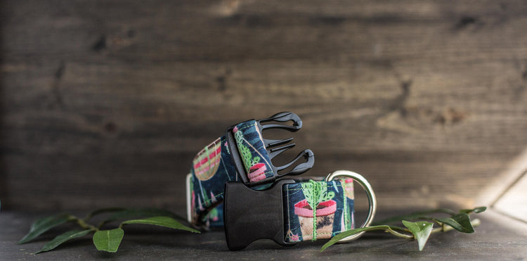 Dog Collar | Succulent Dog Collar | Cactus Dog Collar | Boho Dog Collar | Plants Dog Collar | Cat Collar | Girl Dog Collar | Boy Dog Collar