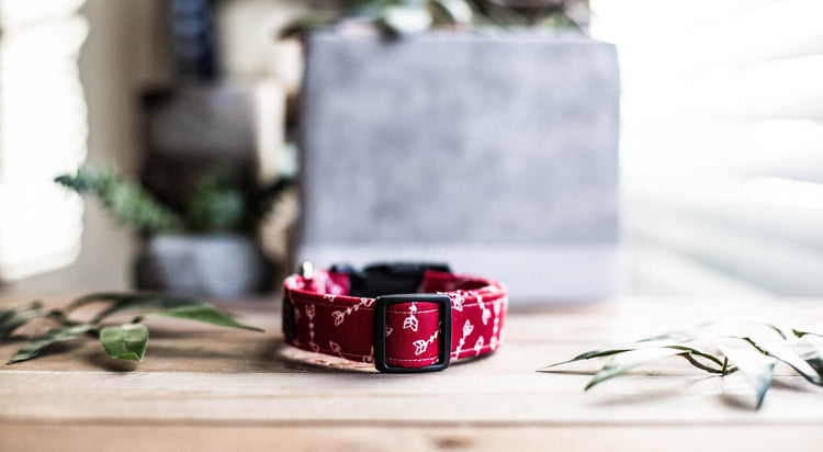 Dog Collar, Boy Dog Collar, ValentineDog Collar, Puppy Collar, Heart Collar,  Bowtie Collar, Collar with Bow Tie, Arrow Collar, Blue Collar