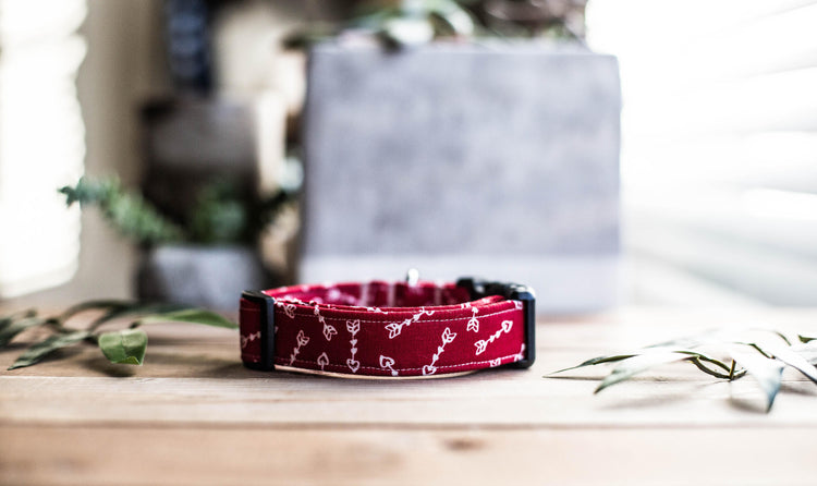 Dog Collar, Boy Dog Collar, ValentineDog Collar, Puppy Collar, Heart Collar,  Bowtie Collar, Collar with Bow Tie, Arrow Collar, Blue Collar