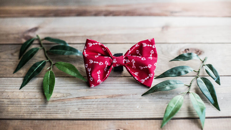 Dog Collar, Boy Dog Collar, ValentineDog Collar, Puppy Collar, Heart Collar,  Bowtie Collar, Collar with Bow Tie, Arrow Collar, Blue Collar