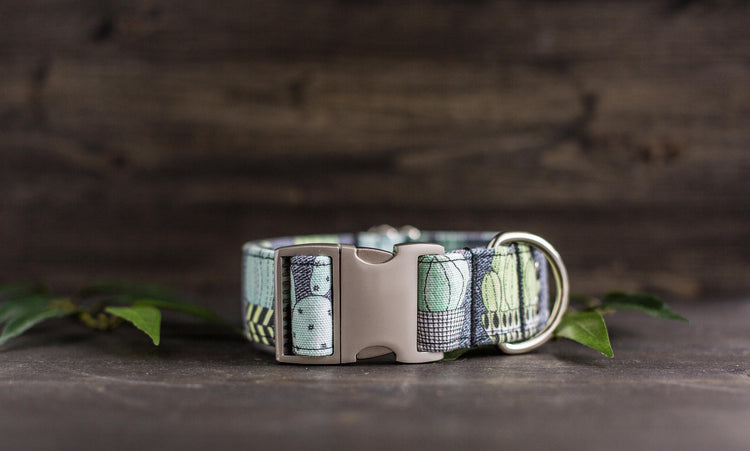 Dog Collar | Succulent Dog Collar | Cactus Dog Collar | Boho Dog Collar | Plants Dog Collar | Cat Collar | Girl Dog Collar | Boy Dog Collar