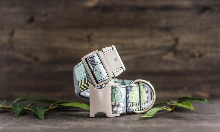 Dog Collar | Succulent Dog Collar | Cactus Dog Collar | Boho Dog Collar | Plants Dog Collar | Cat Collar | Girl Dog Collar | Boy Dog Collar