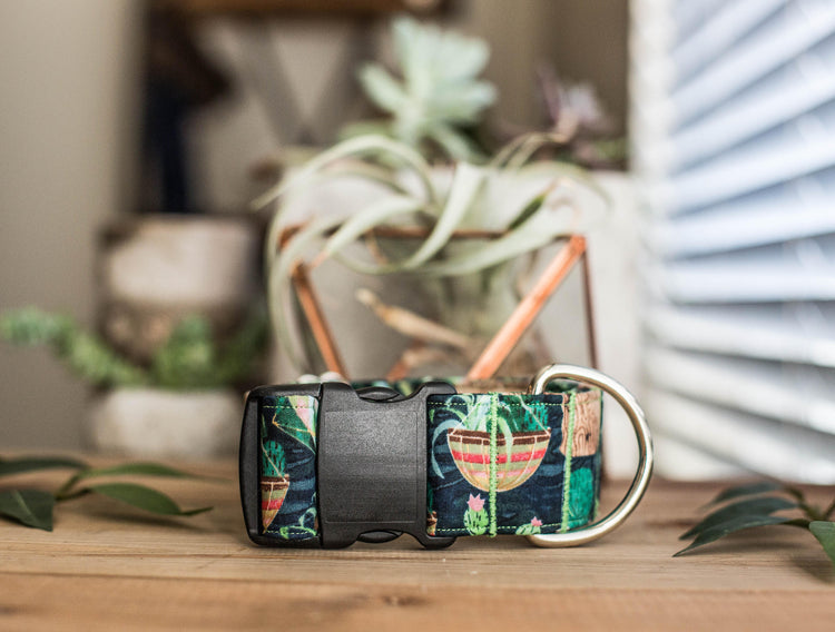 Dog Collar | Succulent Dog Collar | Cactus Dog Collar | Boho Dog Collar | Plants Dog Collar | Cat Collar | Girl Dog Collar | Boy Dog Collar