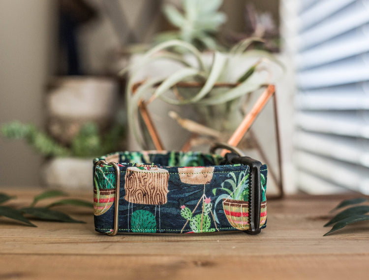 Dog Collar | Succulent Dog Collar | Cactus Dog Collar | Boho Dog Collar | Plants Dog Collar | Cat Collar | Girl Dog Collar | Boy Dog Collar