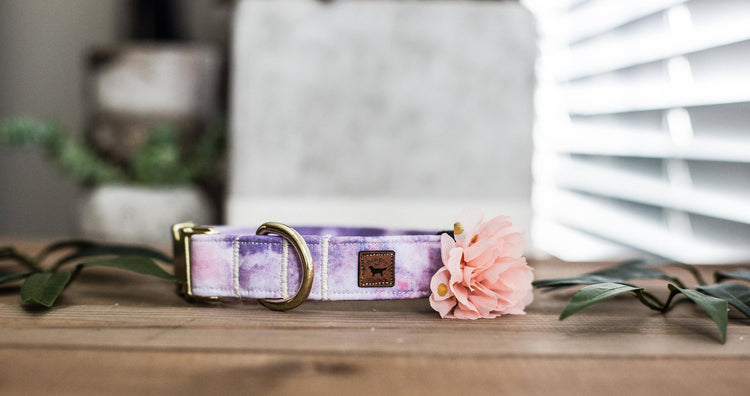 Dog Collar | Floral Dog Collar | Collar Flower Dog Collar | Pink Dog Collar |Puppy Dog Collar | Cat Collar | Girl Dog Collar